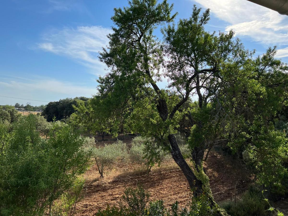 ペルヌ・レ・フォンテーヌ Mas Coeur De Provence Calme Luxe Grand Parcヴィラ エクステリア 写真