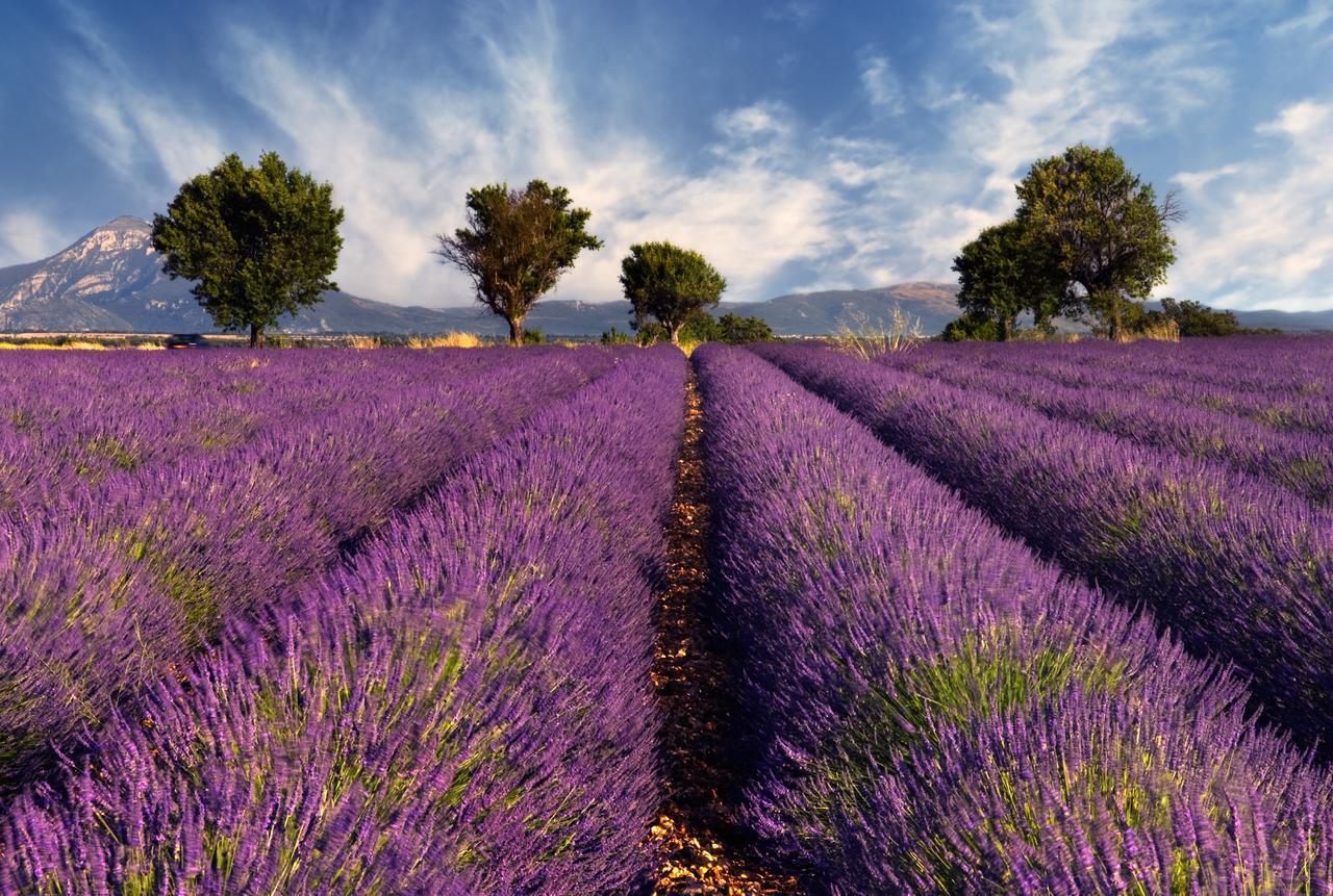 ペルヌ・レ・フォンテーヌ Mas Coeur De Provence Calme Luxe Grand Parcヴィラ エクステリア 写真